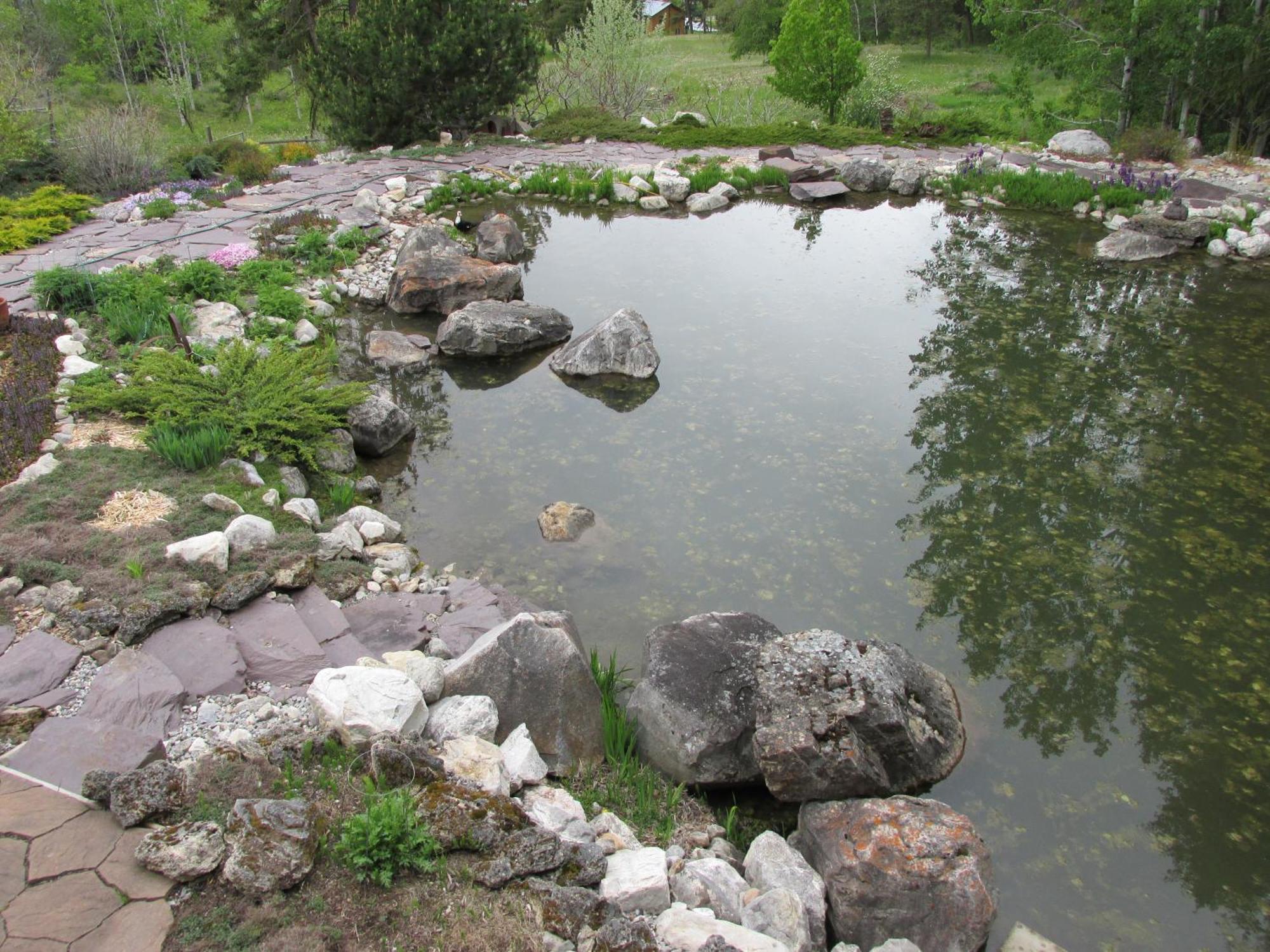 Beard'S Creek Bed And Breakfast Parson Exteriör bild